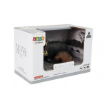 Sada figúriek zvieratká Afrika